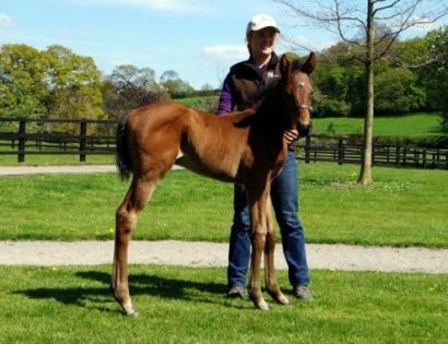 Lord Kanaloax Common Knowledge17filly180417 Fdl3 Tfnm BR