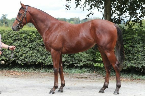 Hs Irishstone