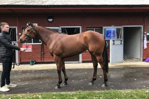 Hot streak qatar princess