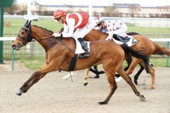 Olympe