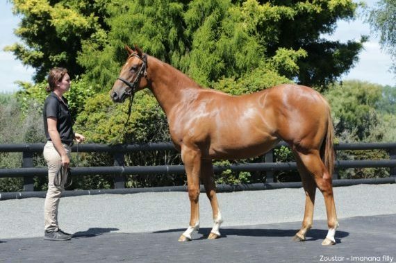 Zoustar Imanana
