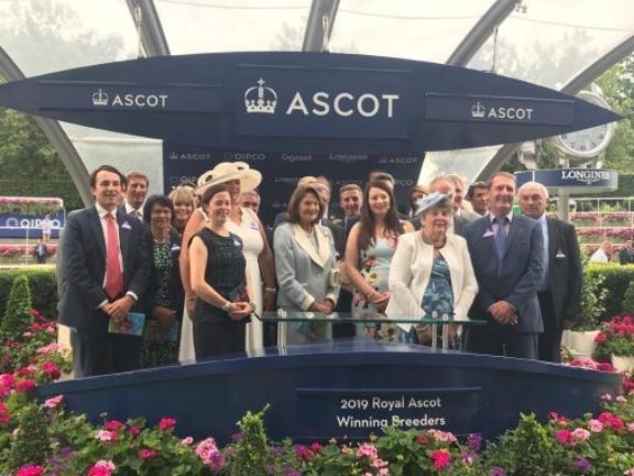 Hannah breeders Ascot