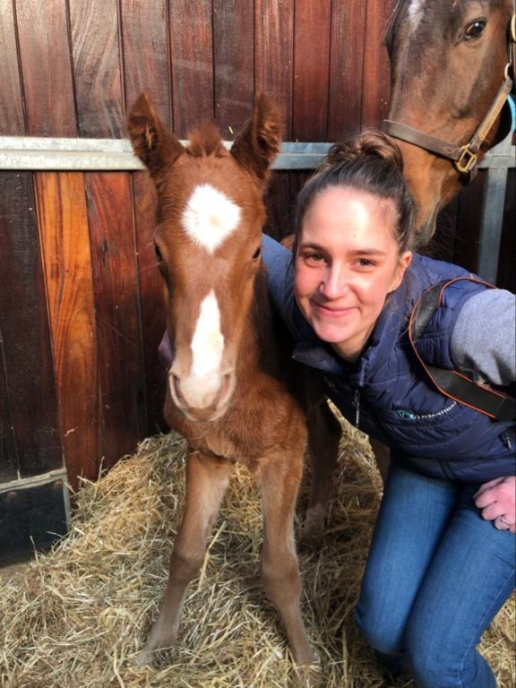 Lucy foal