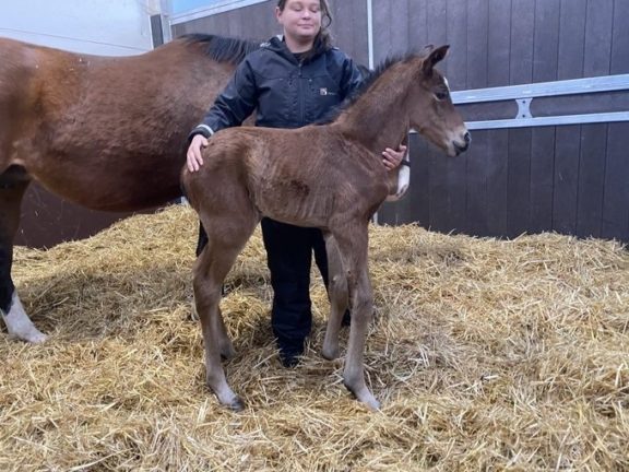 Sammy with foal