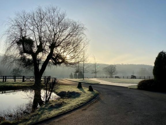 Frosty morning